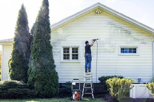 Best Affordable Power Washing  in Belle Chasse, LA